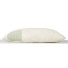 680569168030 Magnolia Organics Talalay Pillow Standard Disk Array Components