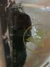 Fc1010474-01 Emulux Emulex Rev