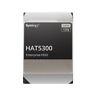 Hat530012t Synology Sata Inch Enterprise Hard 846504004133