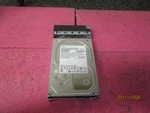 Hitachi Hgst 2TB 0F12455 Sata 3.5" Hard Drive HUA723020ALA640 + Tray - Tested. Fixed Price $34.88.