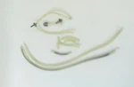 Ibm 05H3203 Pneumatic Hose Kit Z7. Fixed Price $125.00.