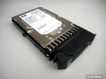Hp 3.5 300GB Hdd Hard Drive With Frame 516810-001 For ML110 DL385 ML350 G5 G6 G7. Fixed Price $169.32.